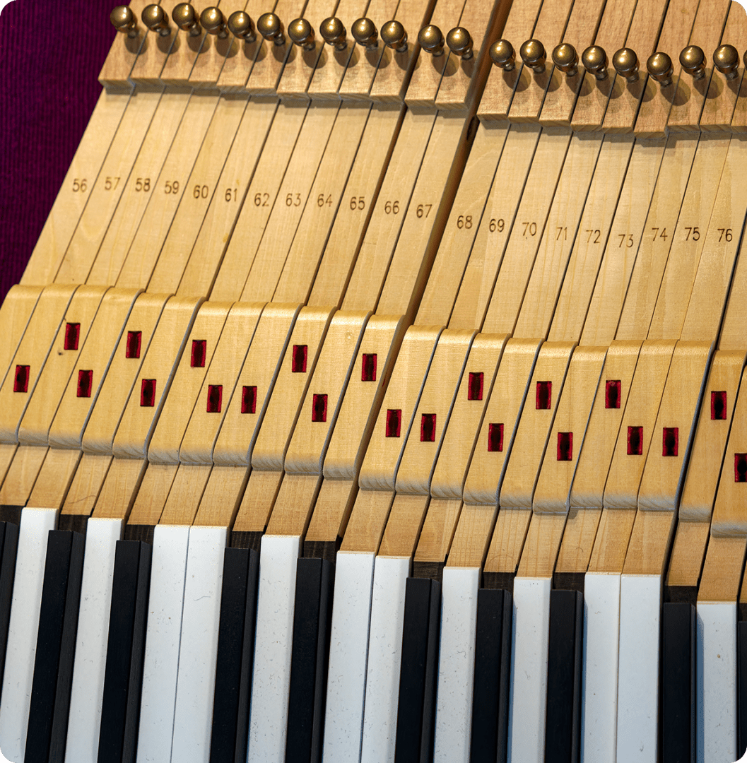 Piano keys and hammers close-up view